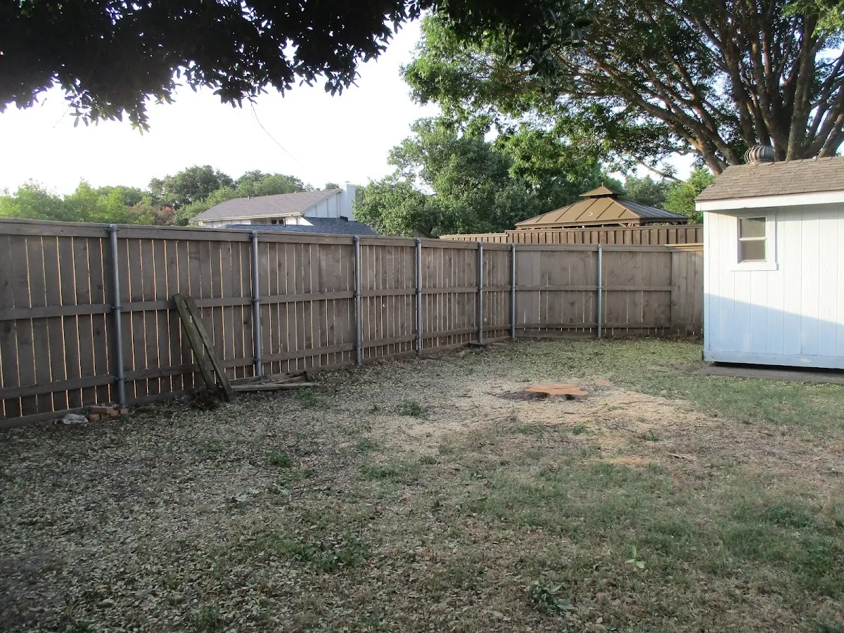 Cleared yard after professional tree removal in Saint Albans