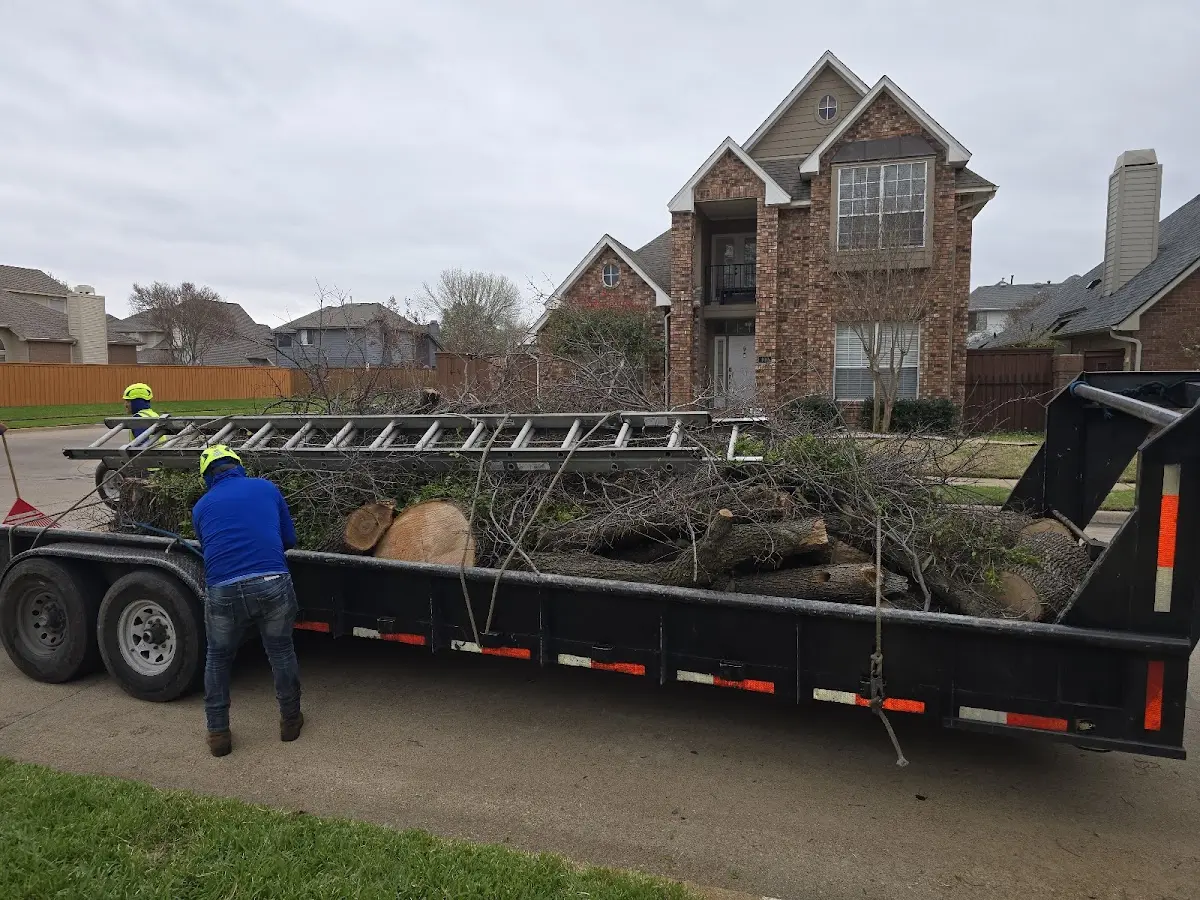 Expert Deadwooding with proper safety equipment in Saint Albans